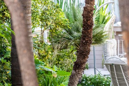 TERASSA - PARTY GARDEN 2